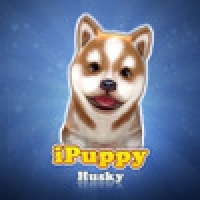 iPuppy Husky