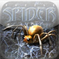 PuzzleSpider