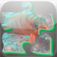 Puzzle Arabian Sea