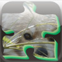 Puzzle Nature