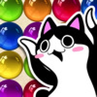 DoDoNPA