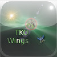 TKO Wings