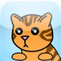 9 Lives Kitty