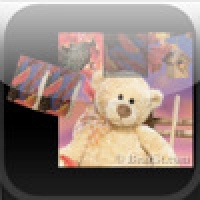 Bear St. Tumbler Puzzle