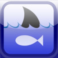 HST Player Notes