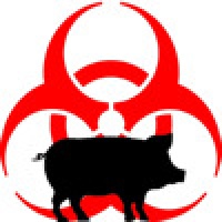 Swine Flu Wars