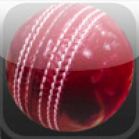 Cricket Game
