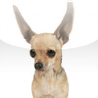 SlidePuzzle - Chihuahua