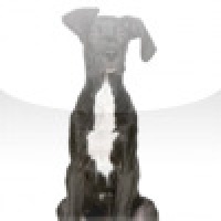 SlidePuzzle - Great Dane