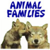 Animal Families