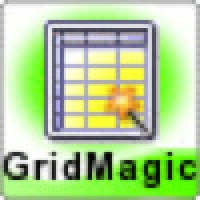 GridMagic