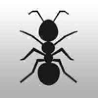 Ant's Village