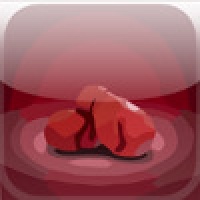 The Boxer