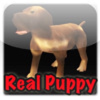 Real Puppy 3D