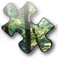 Jigsawed Jigsaw Puzzle