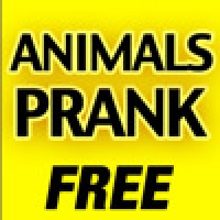 Animals Prank
