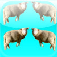 iSheep