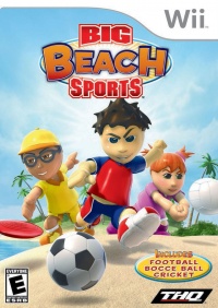 Big Beach Sports