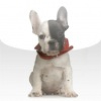 French Bulldog Slide Puzzle