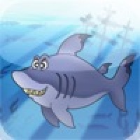 Great White Shark Slide Puzzle