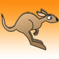 Kiwi Chaser