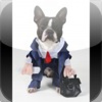 Business Man Dog Slide Puzzle