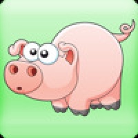 Funny Animals - Matching Game