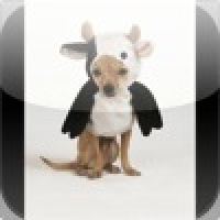 Super Crazy Cow Dog Slide Puzzle