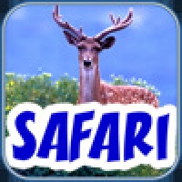 BabyFirst's Safari Scrapbook