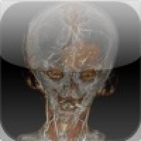 Brain Training - Daily