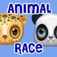 Animal Race