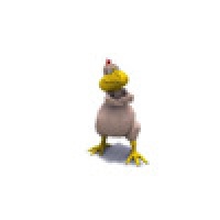 Dancing Chicken