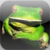 Amazing Wild Nature Puzzle