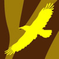 Higher Order - The Animals