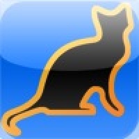 Lovely Kitty Puzzle