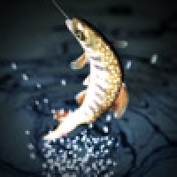 Real Fishing