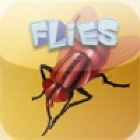 Flies