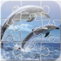 JigsawFish