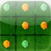 a Rose Tic Tac Toe - Morpion