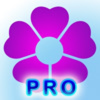 FibuMatchPro