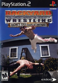 Backyard Wrestling: Don't Try This at Home