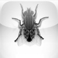 Monster Fly