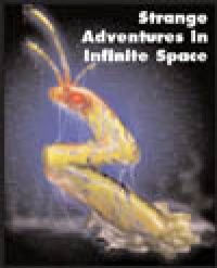 Strange Adventures in Infinite Space