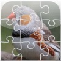 Jigsaw Birds