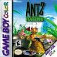 Antz Racing