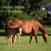 Horse Horse Donkey - Memory game for people who love horses