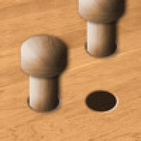 Pegs IQ Test