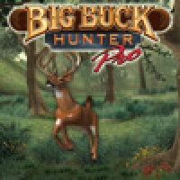 Big Buck Hunter