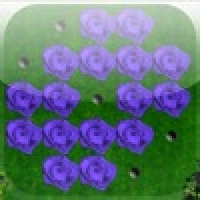 a Purple Rose Peg !