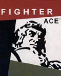 Fighter Ace II